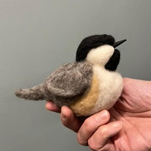 Needle-Felted Bird Workshop | 5084 S Bend Rd