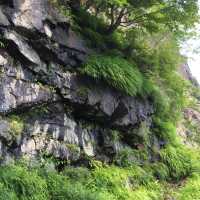 夏の三ツ峠山