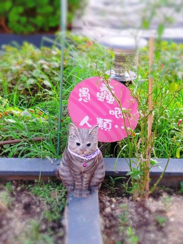 葵芳🎈喵喵遊園會😽 葵芳🎈喵喵遊園會😽