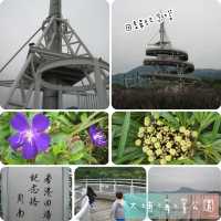 大埔海濱公園😬休閑野餐地方