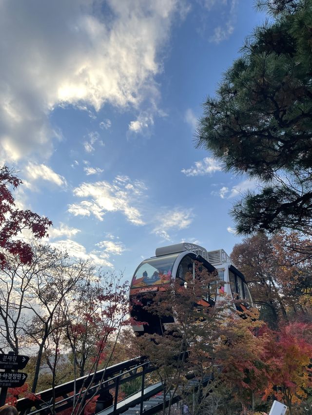 가을 단풍 맛집 :: 화담숲🍂🤍