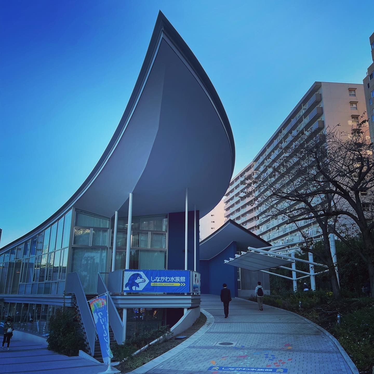 しながわ水族館のレビュー しながわ水族館のチケット しながわ水族館の割引 しながわ水族館の交通機関 所在地 営業時間 しながわ水族館周辺の観光スポット ホテル グルメ Trip Com