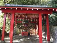 【大分】海地獄が見える！白龍稲荷大神⛩