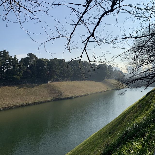 【千代田区】千鳥ヶ淵公園