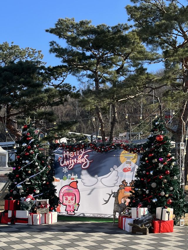 강화도 대표 액티비티 :: 강화씨사이드리조트 루지