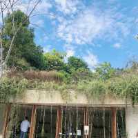 Rabbit Cafe คาเฟ่น่ารักเขาใหญ่ 