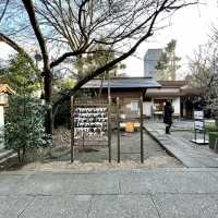 芝東照宮の梅