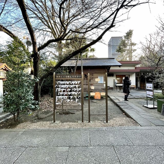 芝東照宮の梅
