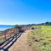 An Oasis of Serenity @ Abalone Cove