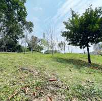 賞花攻略 元朗公園