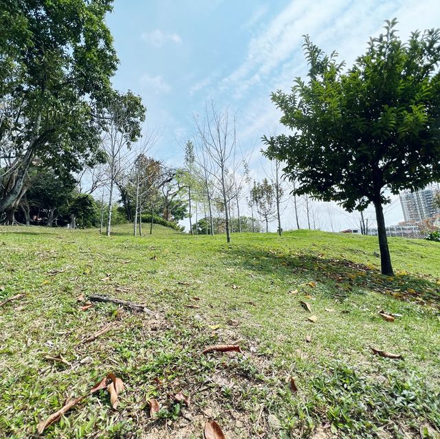 賞花攻略 元朗公園