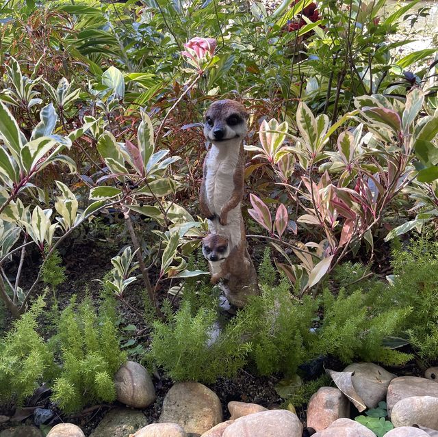 超靚秘密賞櫻花園