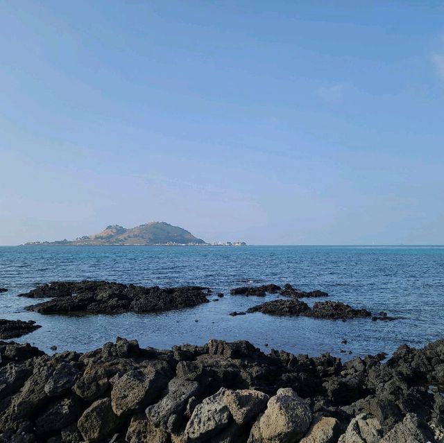 금능 반지하 왔습니다.