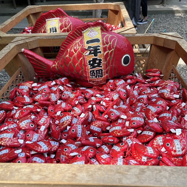 【埼玉】写真映えする！川越氷川神社