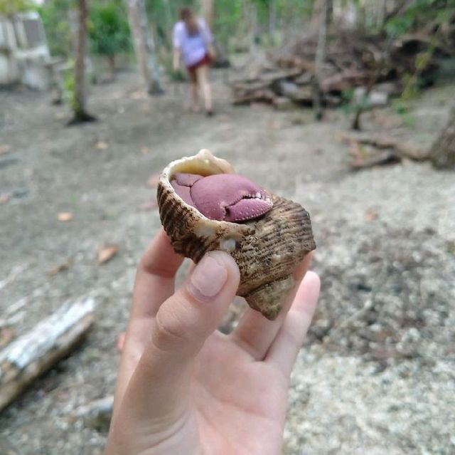 LAMANOK ISLAND, BOHOL, PHILIPPINES