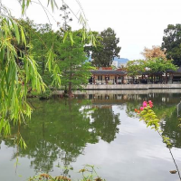 北區公園都可以影得好靚