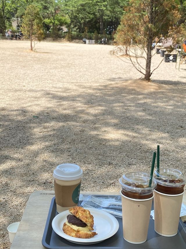 강아지가 뛰어놀 수 있는 마당이 넓은 부천 애견카페, 개푸치노가 유명한 곳 🐶