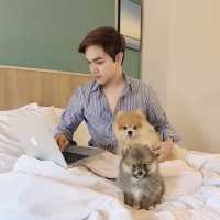 น้องหมาพาเที่ยว