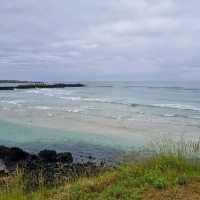 Hamdeok Beach Life