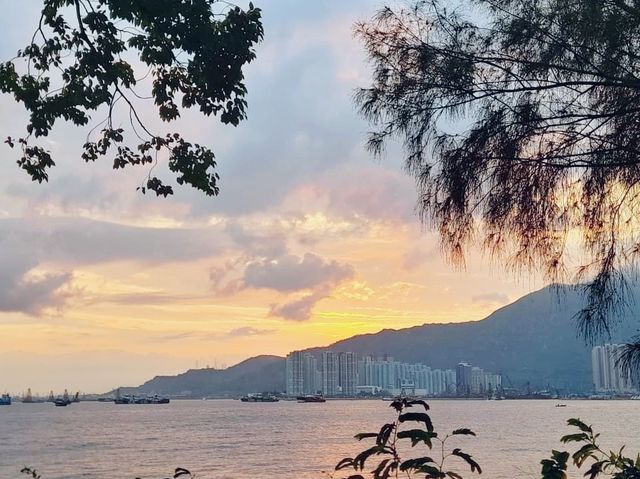 黃金海豚廣場睇日落