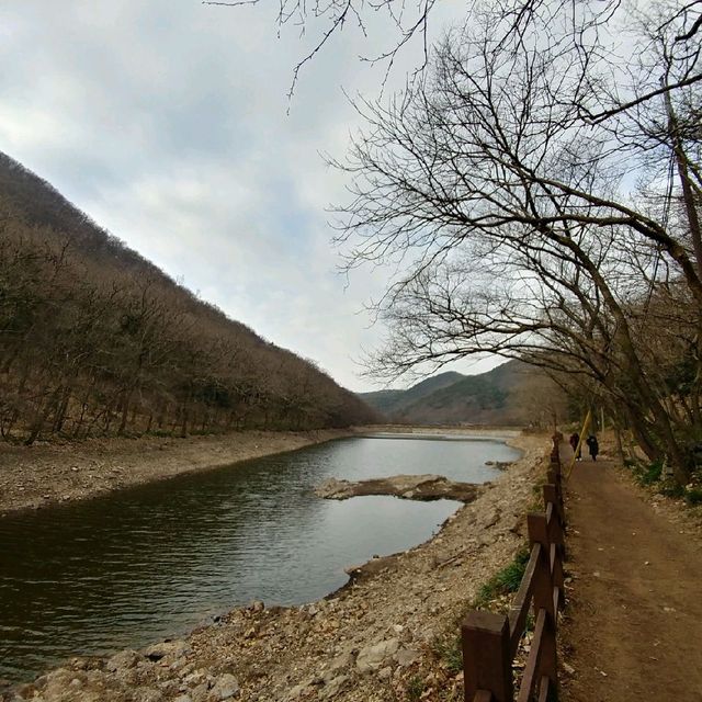 영광 불갑산 등산