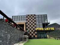Pino Latte