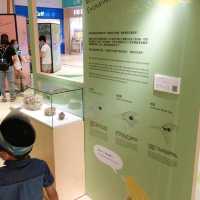 同仔仔一樣冇手尾動物免費展覽