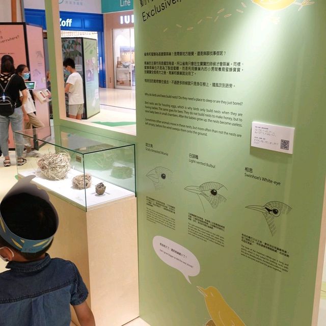 同仔仔一樣冇手尾動物免費展覽