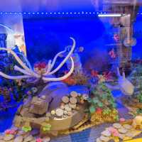 The Humongous Lego Land Store