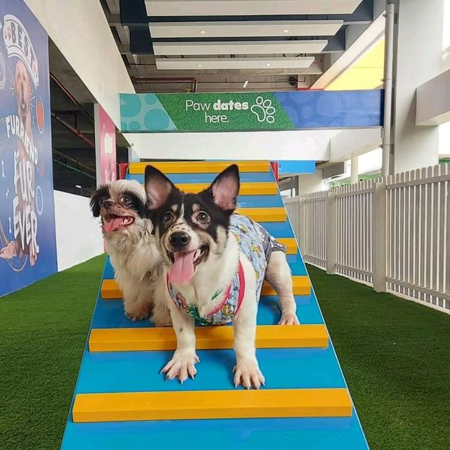 Paw Park @ SM City Clark