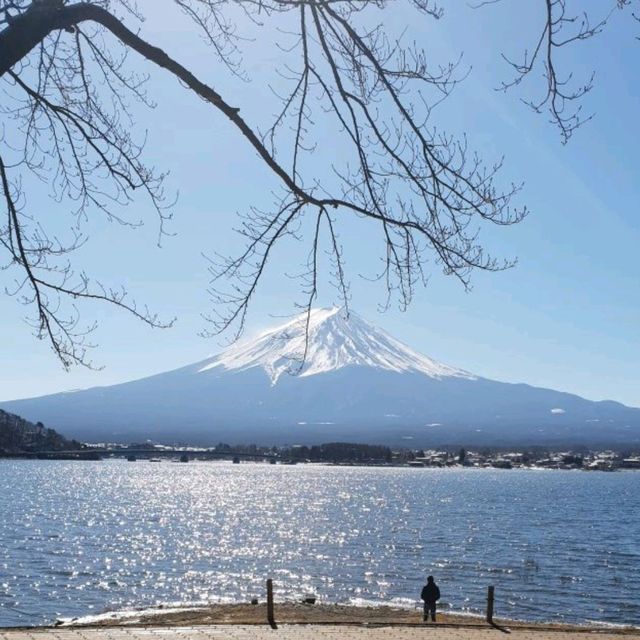 Tokyo | Japan 🇯🇵 ภูเขาไฟฟูจิ 🗻