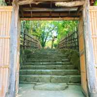 【京都】名庭園と光と影