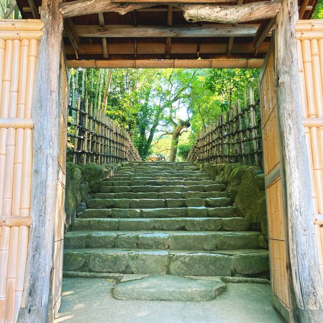 【京都】名庭園と光と影