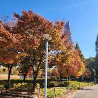 🍂 가을느낌 가득한 센트럴파크