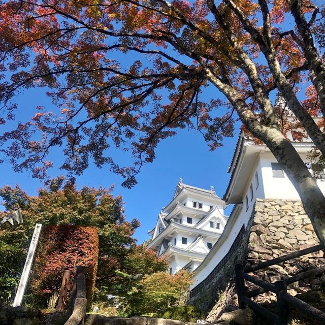 秋色之選