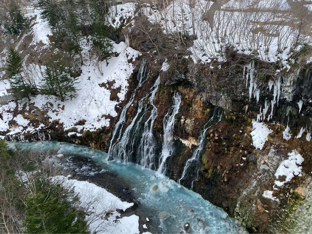 冬天下北海道美瑛青池，白鬚瀑布❄️☃️