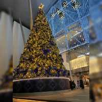 The Great  Christmas Light-Up