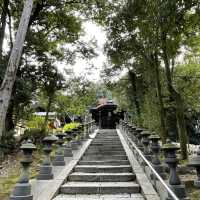 【京都府】5社を祀る不思議な神社へ