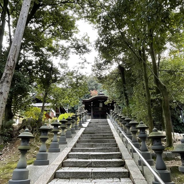 【京都府】5社を祀る不思議な神社へ