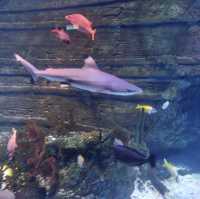 Great Lego Theme aquarium 