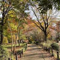 Emperor palace in Tokyo - fall season