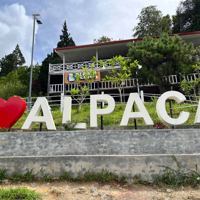 Trip to Kota Kinabalu