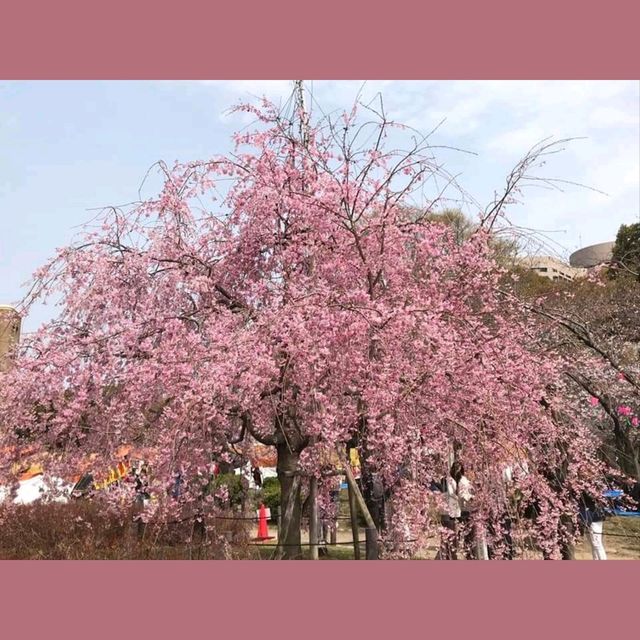 自1970年開既～群馬縣伊香保グリーン牧場