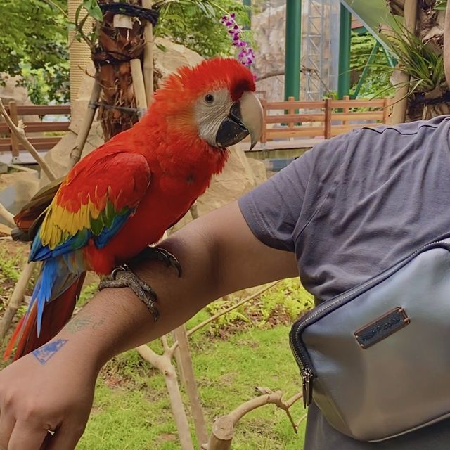 Jakarta Bird Land Ancol