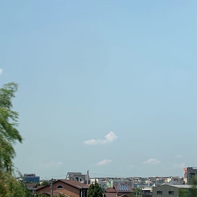박군자진주냉면, 김포 