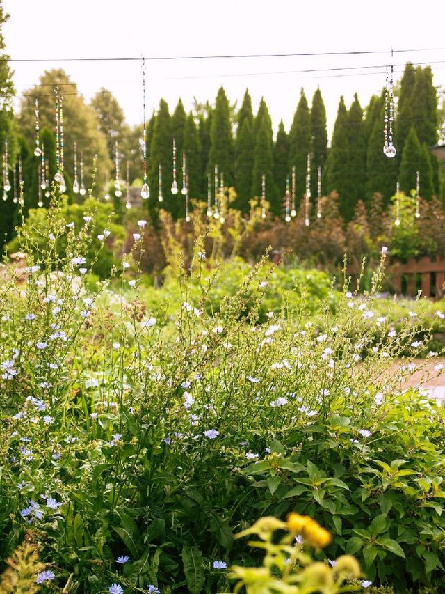 Reiman Gardens.