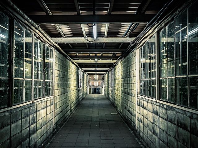 【群馬】日本一のモグラ駅🚉