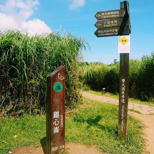 擎天崗中央步道