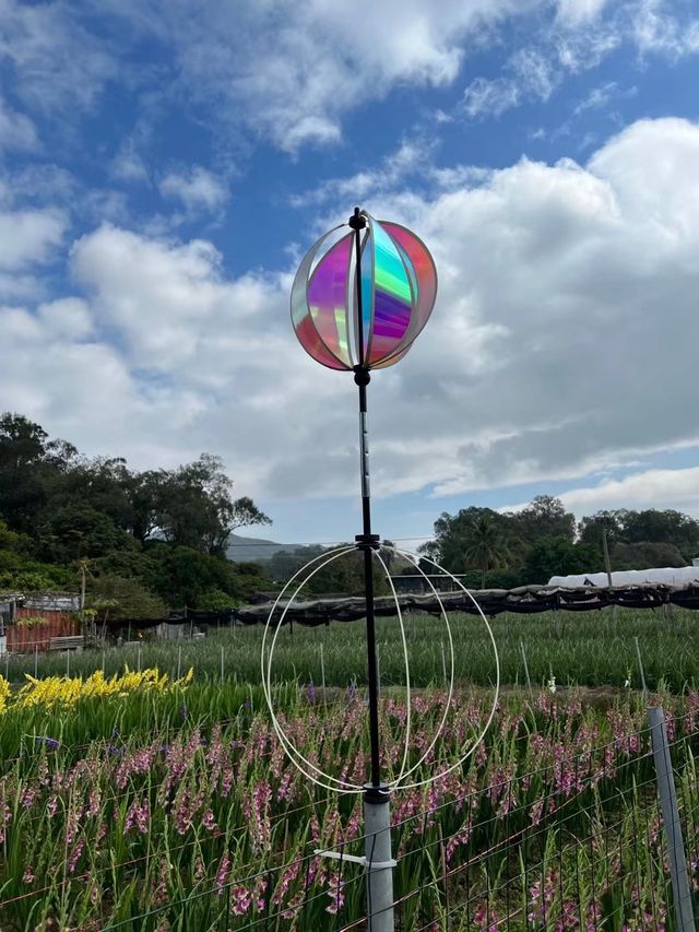 元朗信芯園重開，全新嘅日本🇯🇵主題打卡勝地