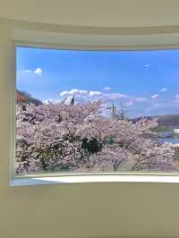 공주 벚꽃뷰 카페, [내재]
